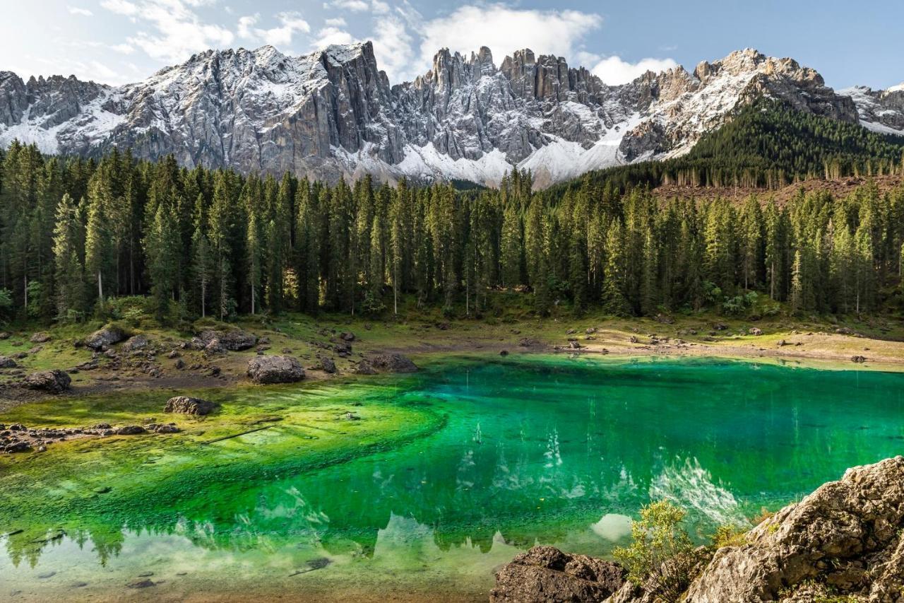 Sport Hotel Passo Carezza 维哥迪法萨 外观 照片